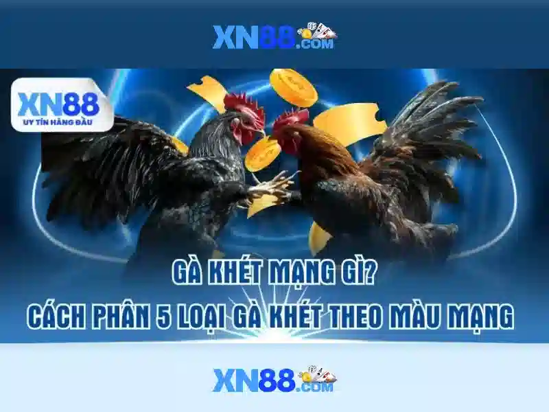 Ưu Đãi Khuyến Mãi