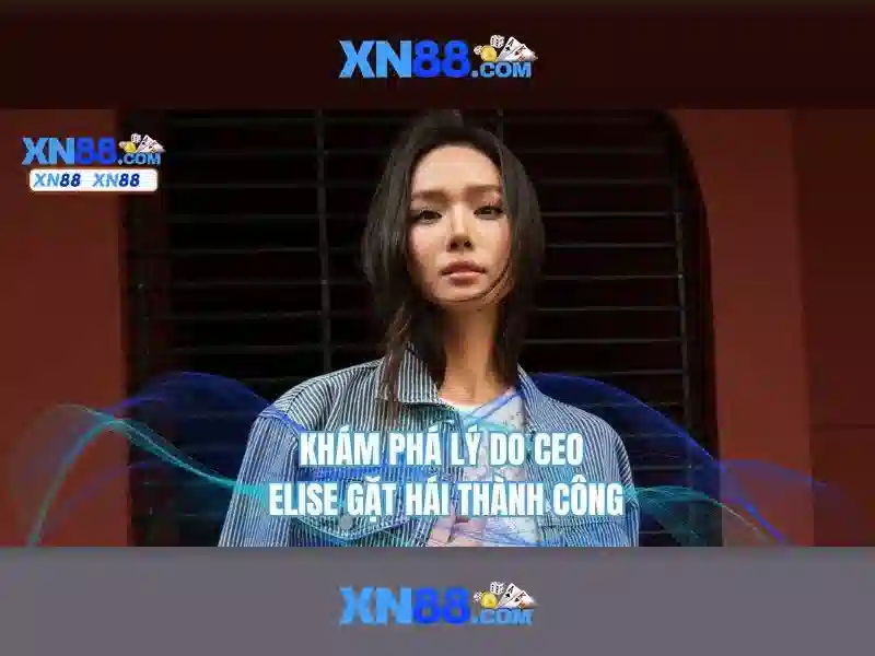 Đặc Điểm Nổi Bật Của XN88