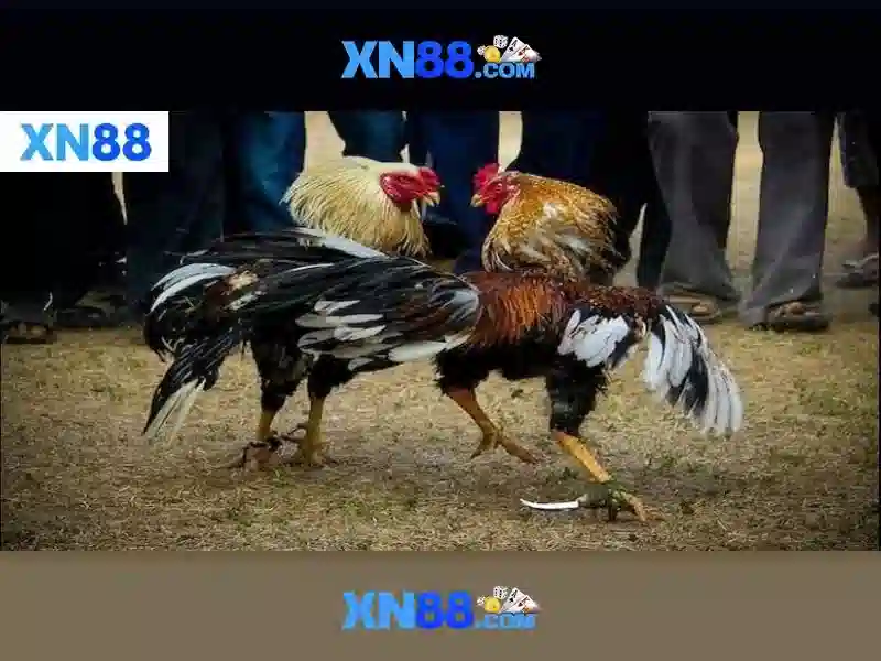 Trải Nghiệm Chơi Game XN88 Đỉnh Cao