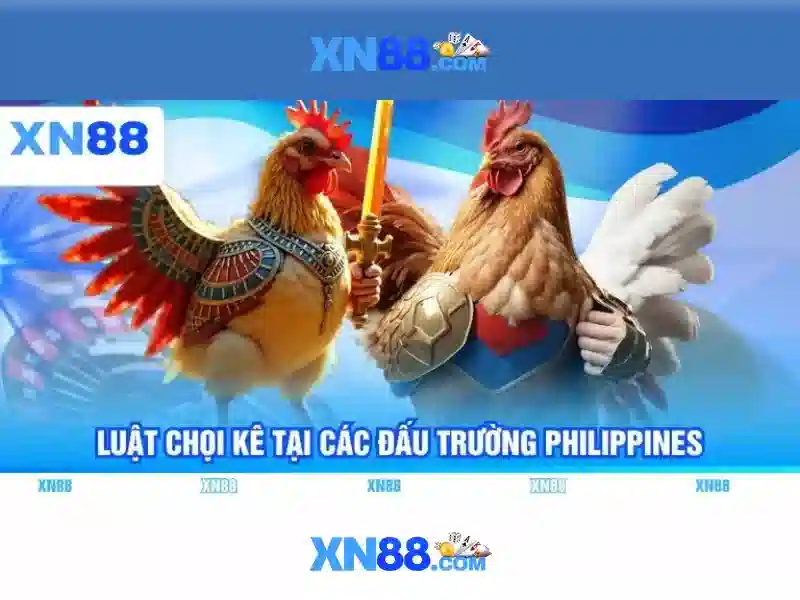 Cách đăng nhập XN88