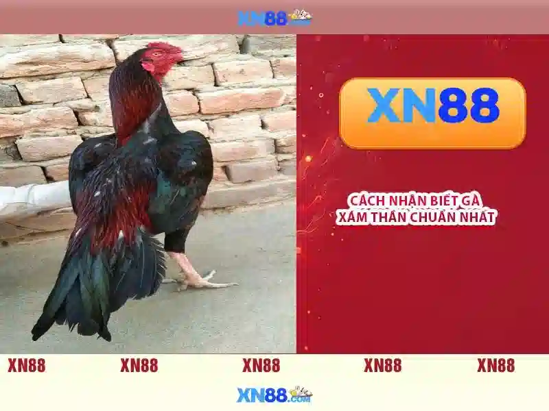 Trải Nghiệm Slot Trên XN88 Google Play