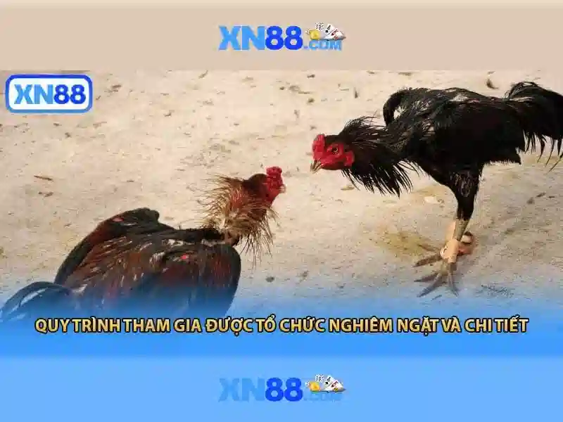 XN88 – Trải Nghiệm Slot Đỉnh Cao Với XN88 Bshrf