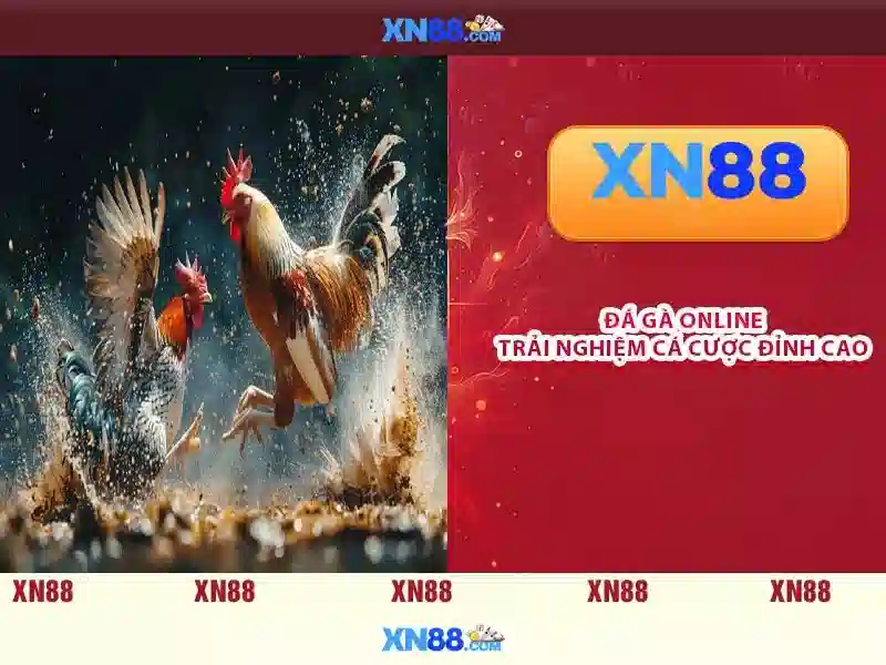 Tận Hưởng Sự Kịch Tính Cùng XN88