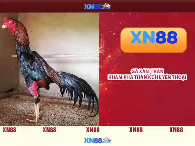 Ưu Điểm XN88