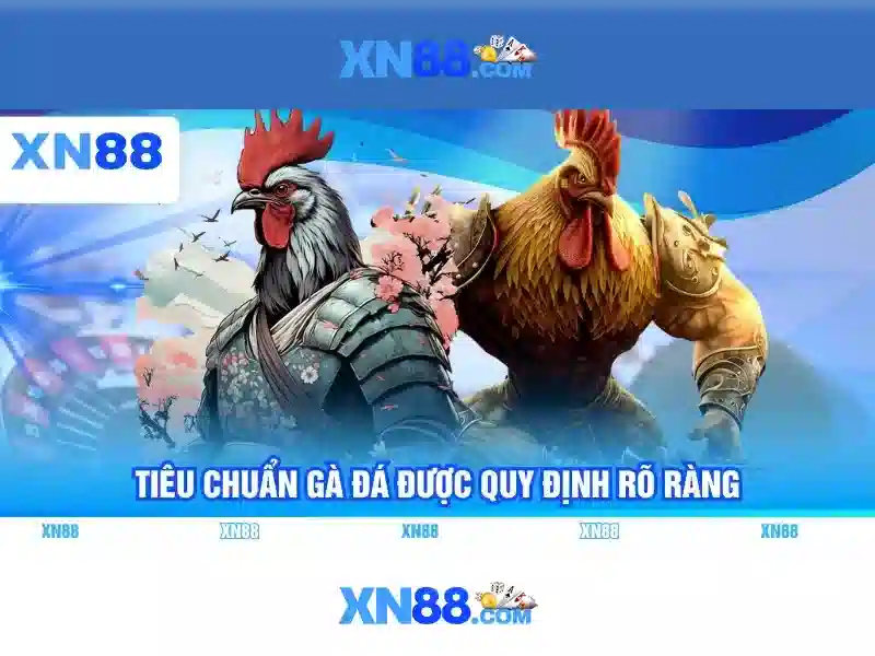Hướng Dẫn Tải XN88