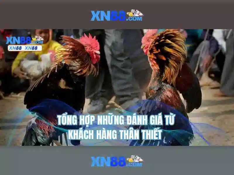 Hướng Dẫn Đăng Nhập XN88