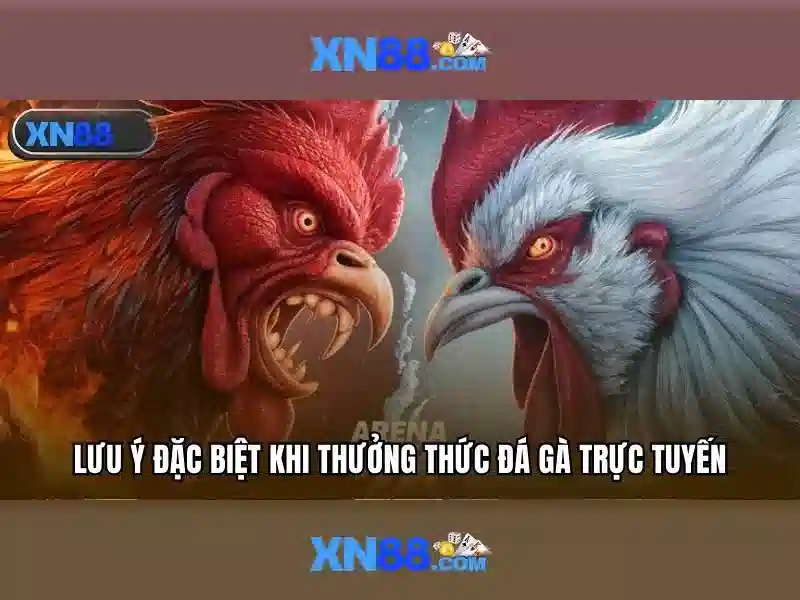 XN88 Win