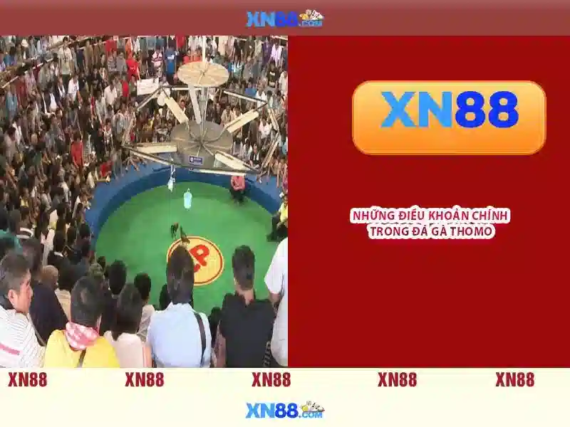 trải nghiệm slot trên ứng dụng XN88