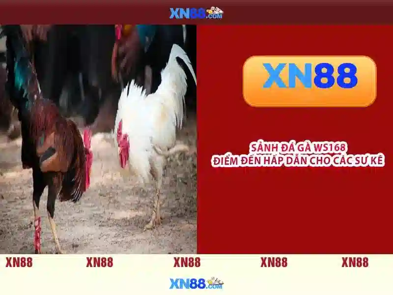 Trải nghiệm slot đỉnh cao tại XN88