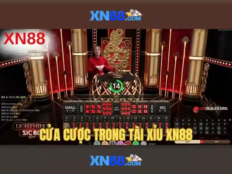 Tải app XN88 để trải nghiệm Slot đỉnh cao