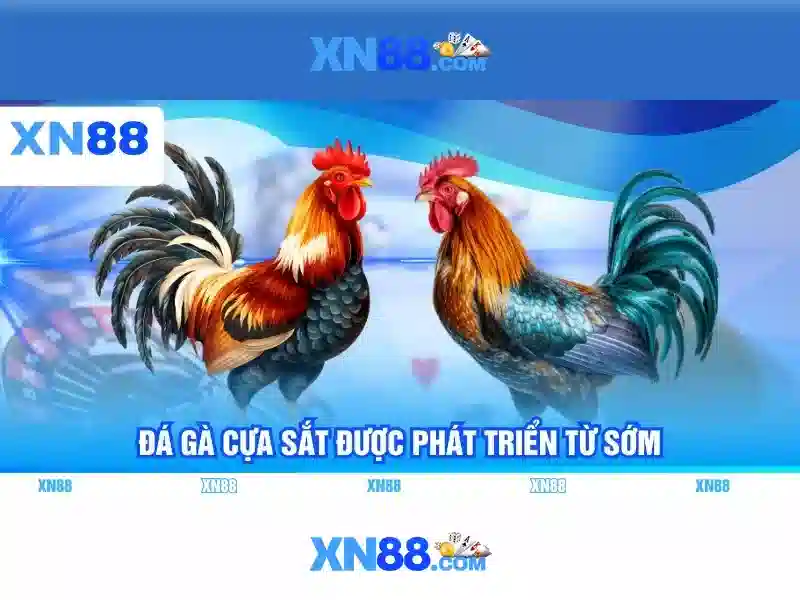 hướng dẫn chơi bài XN88