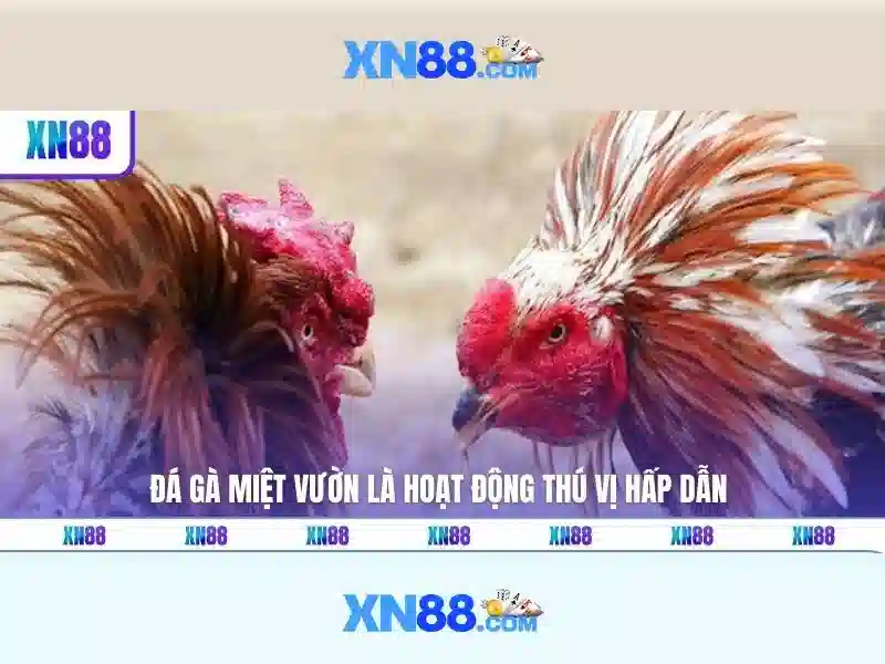 Hướng Dẫn Tải Ứng Dụng Slot