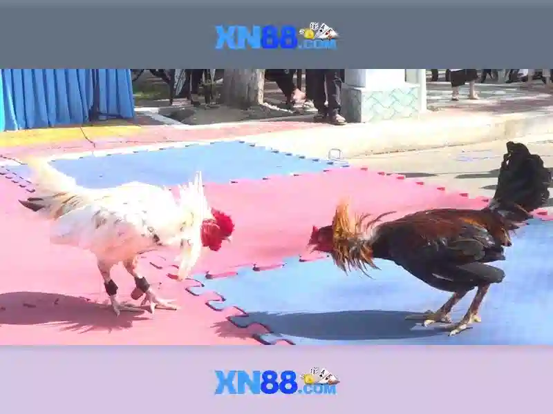 XN88 Win - Cơn Sốt Chơi Quay Hũ Đổi Thưởng Cực Lớn