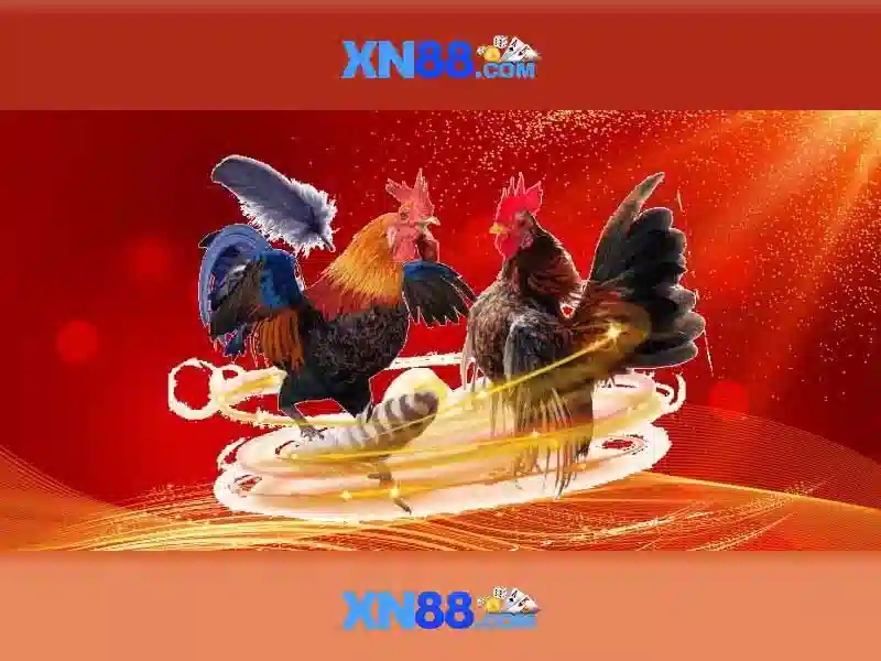 XN88 Có Uy Tín Không