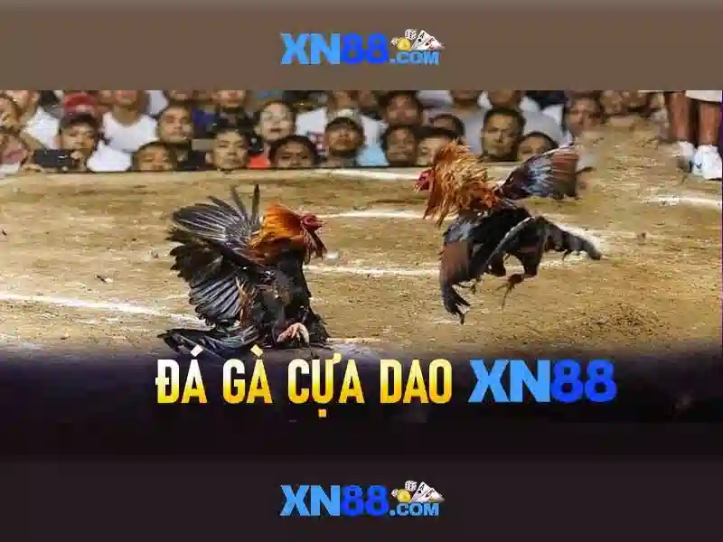 Tải XN88 App