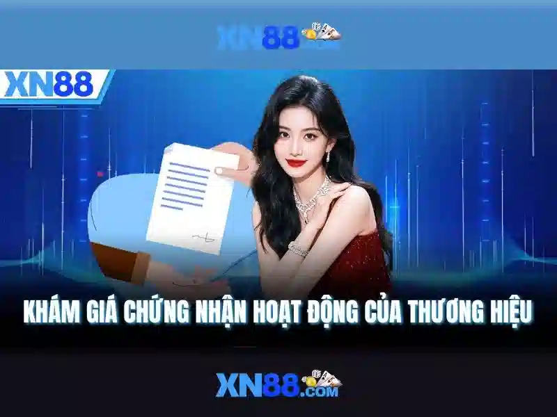 Giới Thiệu XN88