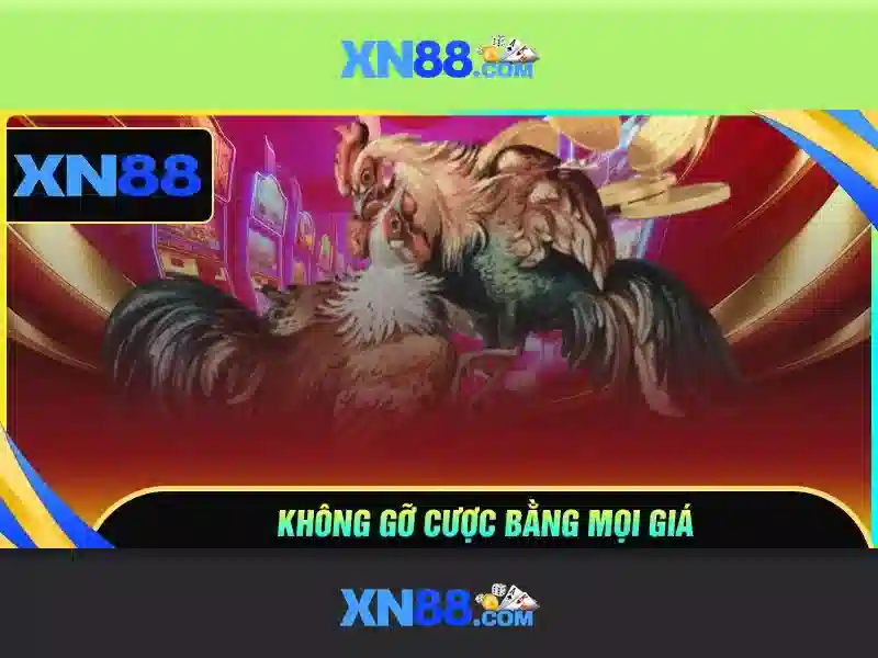 Tính năng nổi bật của app XN88