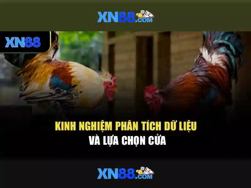 XN88 – Trải Nghiệm Slot Đỉnh Cao Không Bị Chặn 2026