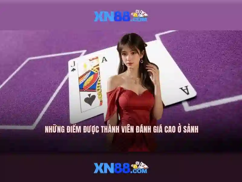 Khái niệm XN88