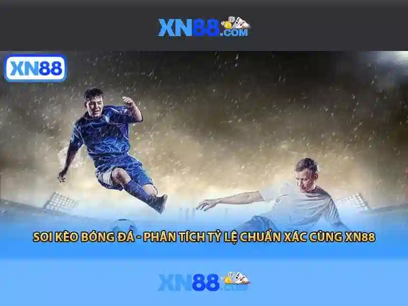TỔNG HỢP XN88