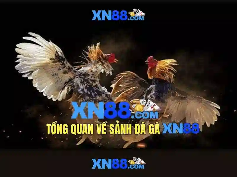 Đăng Nhập Mọi Thiết Bị XN88