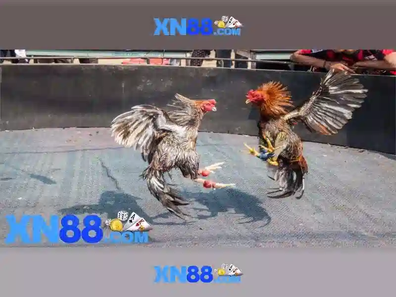 Giới Thiệu Về Game Slot Trực Tuyến XN88