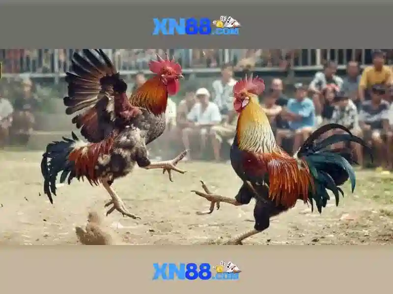 Trải nghiệm Slot đa dạng