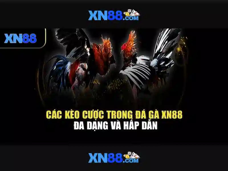 Đăng Nhập XN88 An Toàn