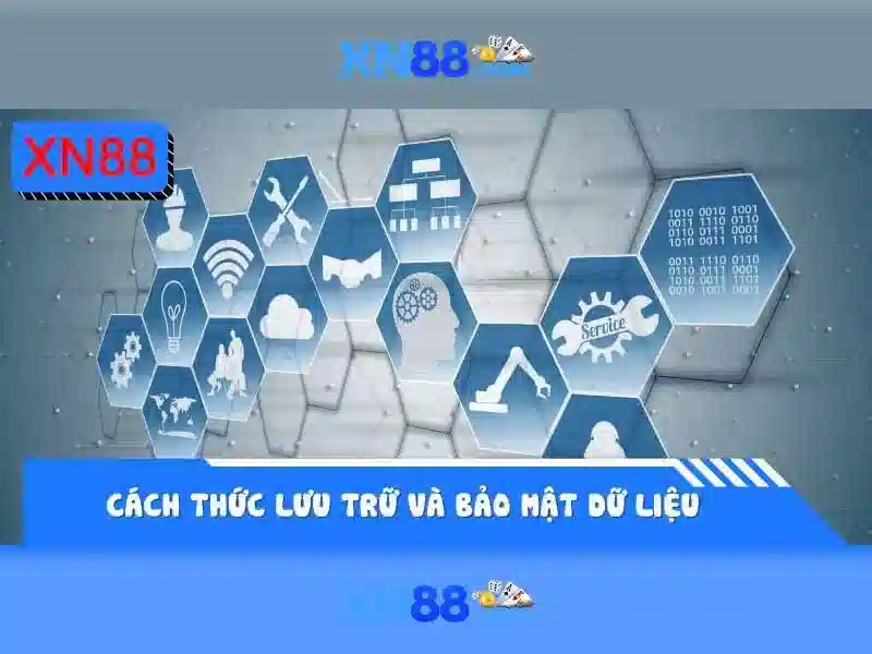 Giới Thiệu Về XN88