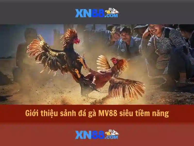 Ứng dụng XN88 App