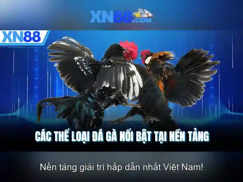 Khuyến Mãi XN88