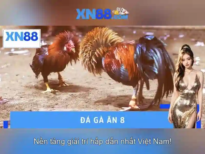 Tại Sao Nên Chọn XN88 Com Cho Trải Nghiệm Slot