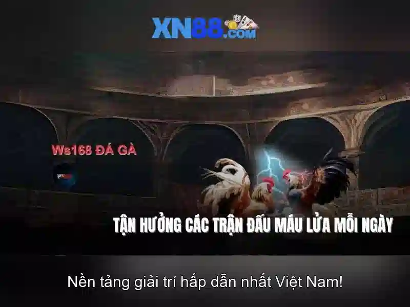 XN88 có uy tín không