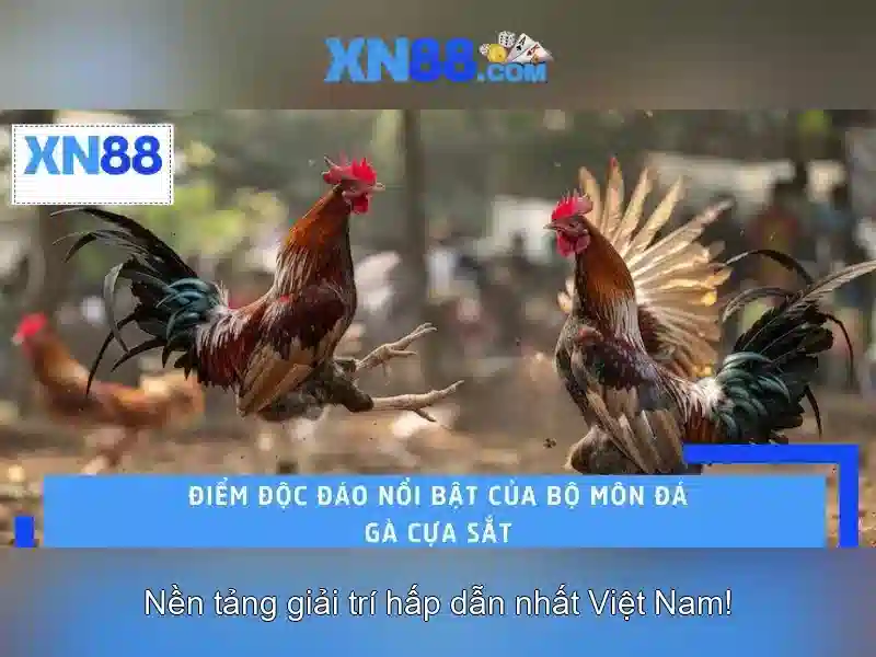 XN88 – Hướng Dẫn Đăng Nhập Và Trải Nghiệm Slot Đỉnh Cao 2026
