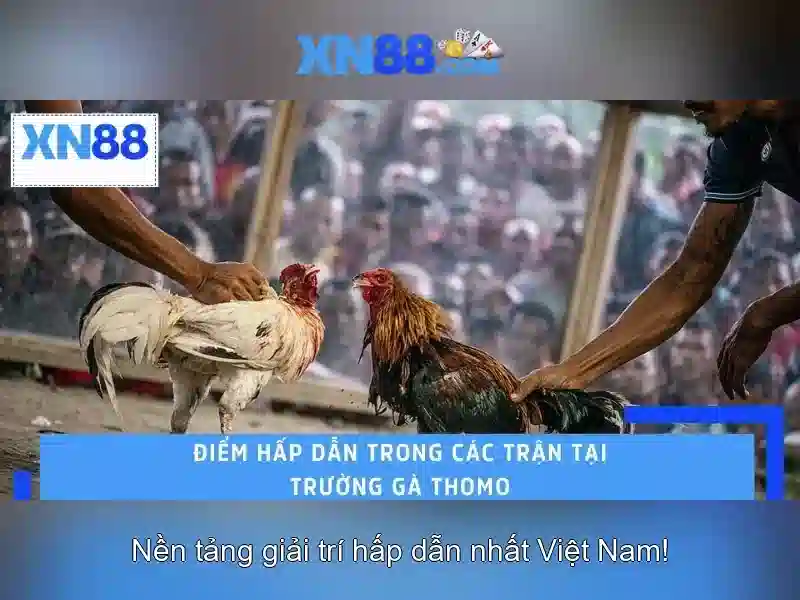 Đánh Giá XN88 Có Uy Tín Không
