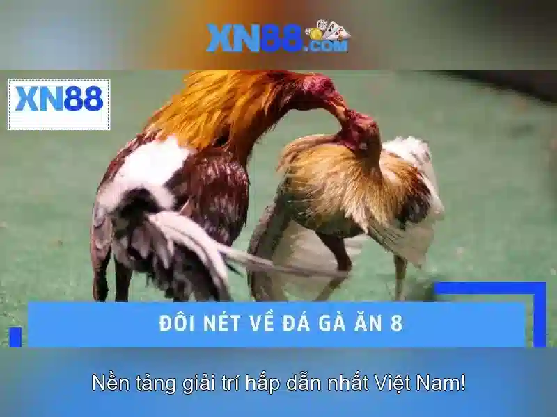XN88 Slot – Trải Nghiệm Slot Đỉnh Cao