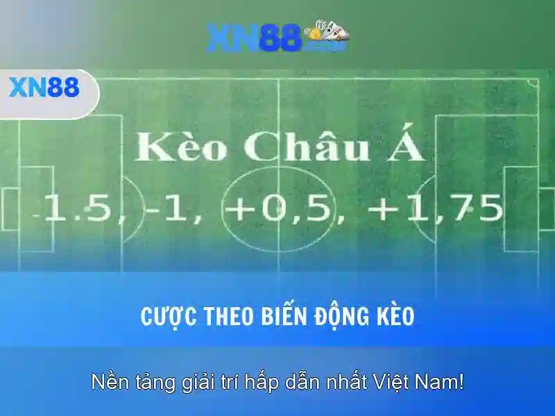 Mã Hóa Dữ Liệu XN88