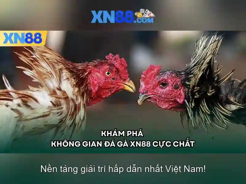 Trò Chơi Slot Đa Dạng Tại XN88