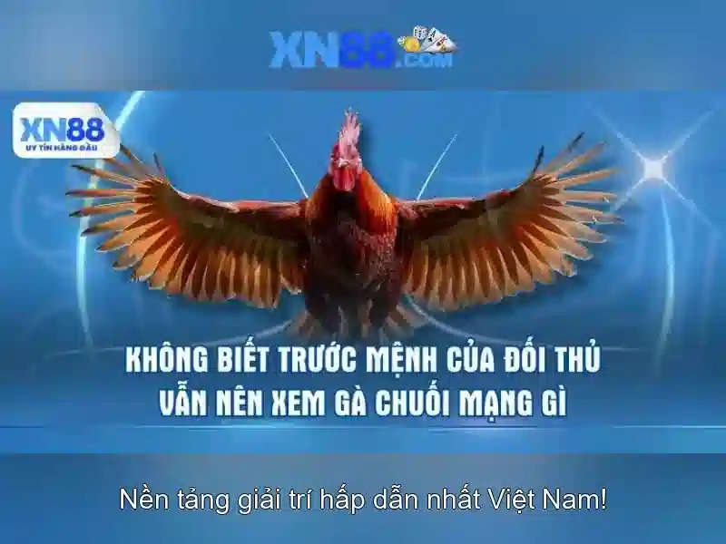 XN88 – Trải Nghiệm Slot Đỉnh Cao