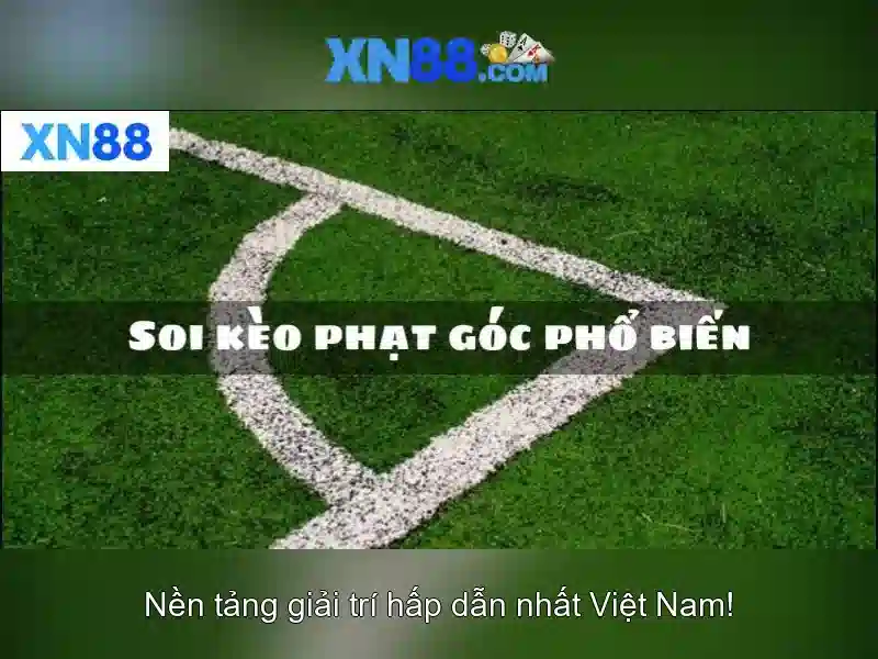 XN88 App Com
