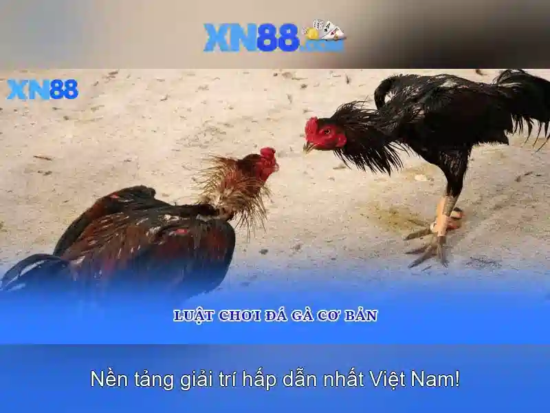 Tại Sao Chọn Game XN88