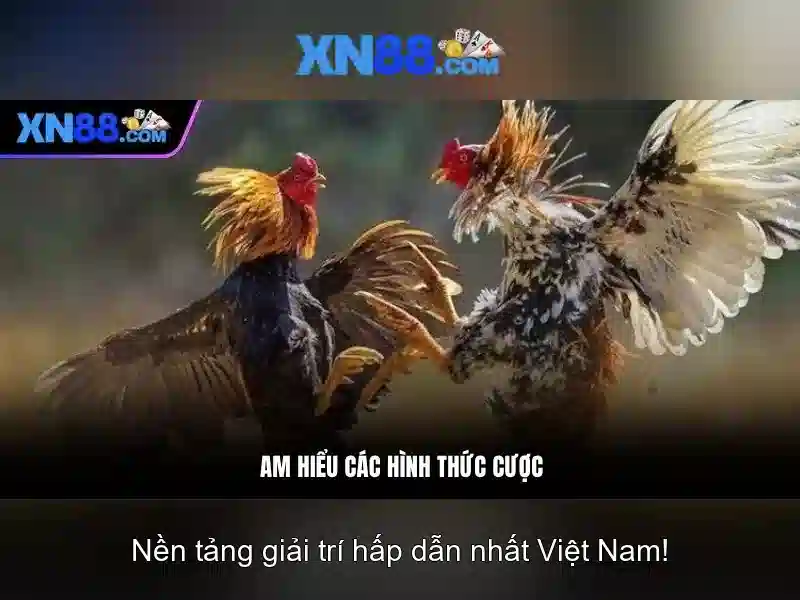 Cách truy cập XN88 an toàn