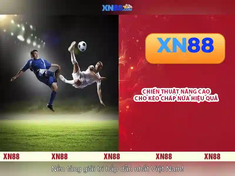 Hướng Dẫn Sử Dụng