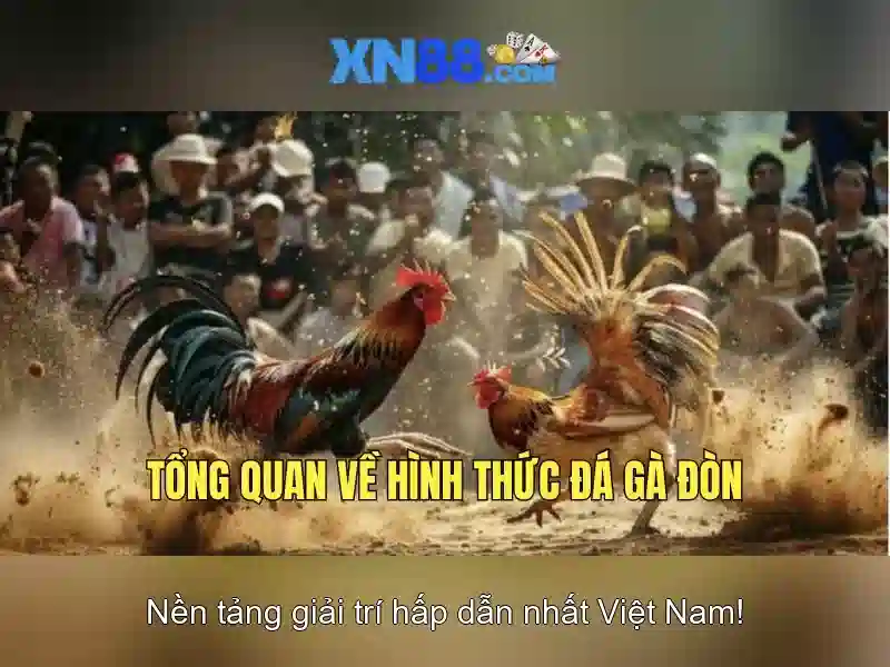 XN88 – Trang Chủ Chính Thức Không Bị Chặn 2026