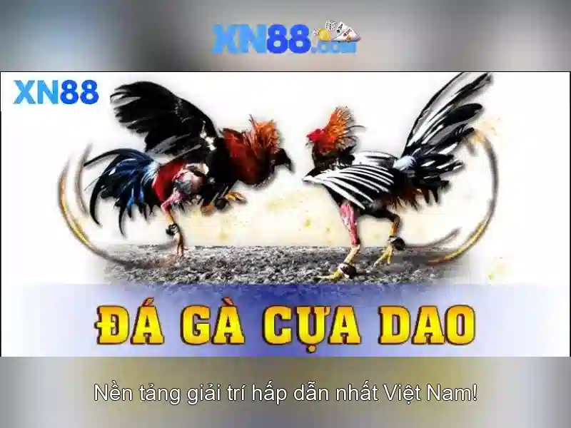 XN88 Slot – Trải Nghiệm Slot Đỉnh Cao