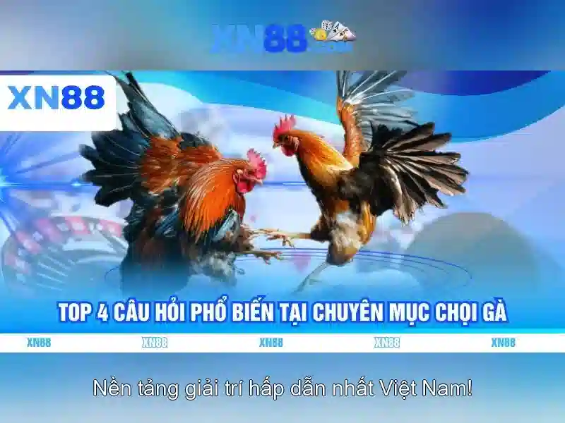 XN88 slot trực tuyến đỉnh cao 2026