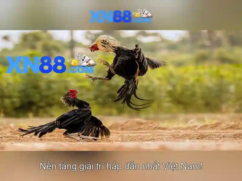 XN88 – Trang Chủ XN88 Chính Thức Không Bị Chặn 2026