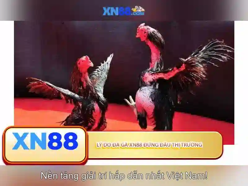 Trải Nghiệm Đăng Nhập XN88