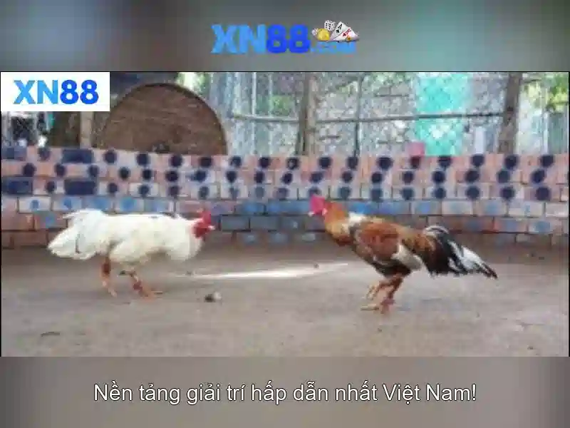 XN88 Có Uy Tín Không