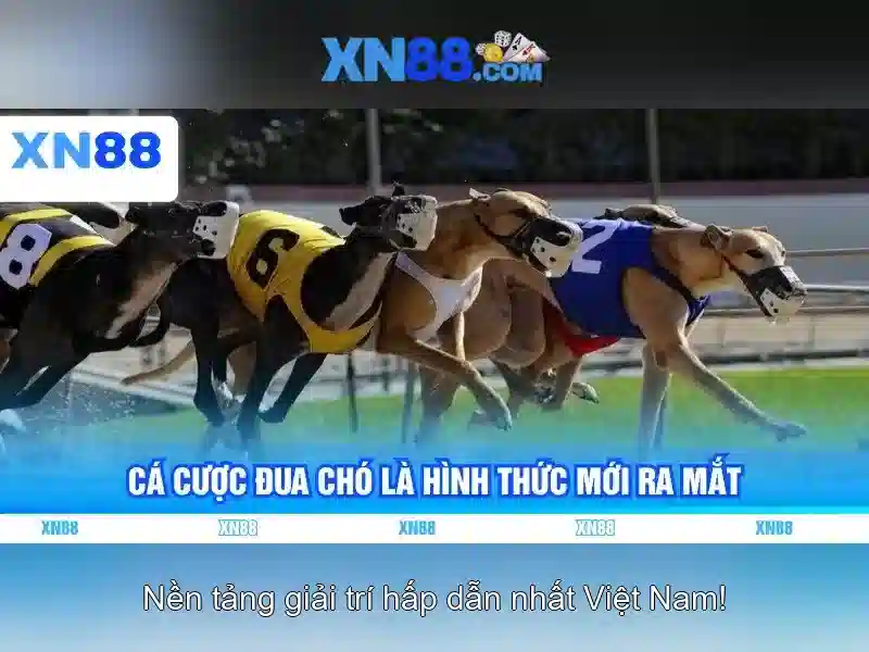 Trải Nghiệm Slot